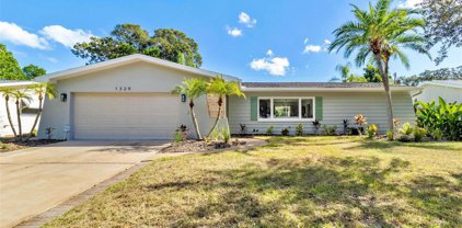 1329 Williams Drive, Clearwater