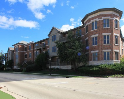 271 E Railroad Avenue Unit #303, Bartlett