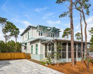 723 Patina Blvd, Inlet Beach image