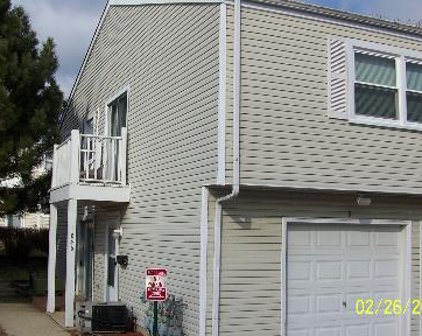185 Rita Court Unit #D, Bartlett