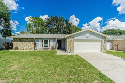 12807 Tallowood Drive, Riverview
