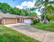 15362 Meadow Village Drive, Houston image