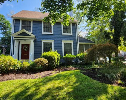 18 Macculloch Ave, Morristown Town