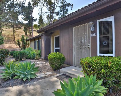 10030 Nuerto Lane, Spring Valley