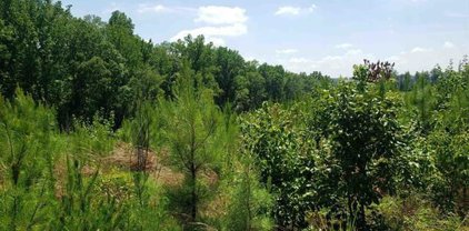Robbins, Chesnee