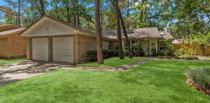 17 Rock Pine Court, The Woodlands