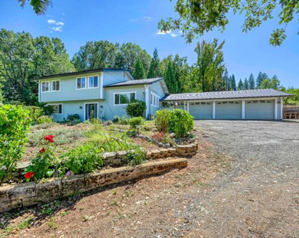 4344 Bumble Bee Lane, Camino