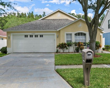 10908 Peppersong Drive, Riverview