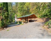 32814 NE WASHOUGAL RIVER RD, Washougal image