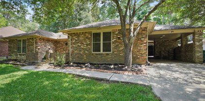 17 Foy Martin Drive, Conroe