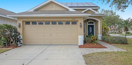 21039 Green Wing Court, Land O' Lakes