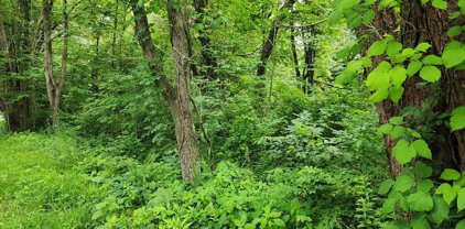 Lot 3.1 Warren Road, Brimfield