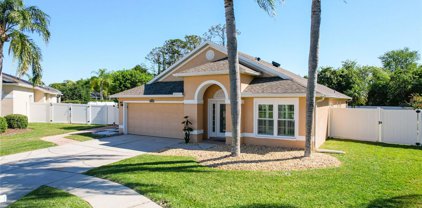 22352 Yachtclub Terrace, Land O' Lakes