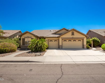 1401 W Mulberry Drive, Chandler