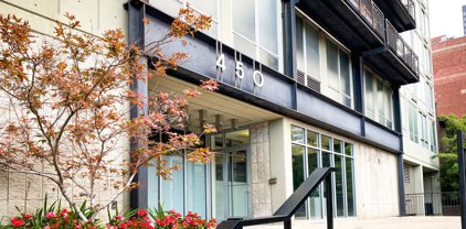 450 W Briar Place Unit #13D, Chicago
