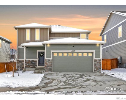 1229 Lily Mountain Road, Severance