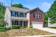 11806 Igneous Drive, Fishers image