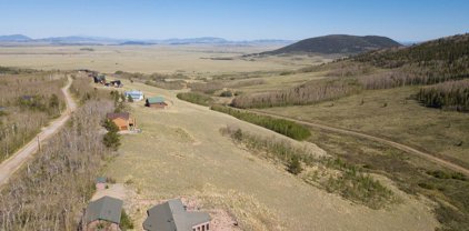 2497 High Creek  Road, Fairplay