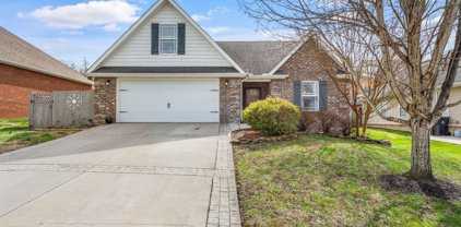 5556 Meadow Wells Drive, Knoxville