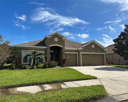11412 78th Street E, Parrish