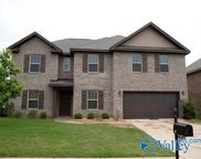 307 Fenrose Drive, Harvest image