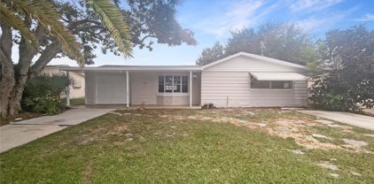 3025 Lloyd Drive, Holiday