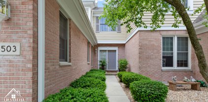 1503 Wexford Place, Naperville