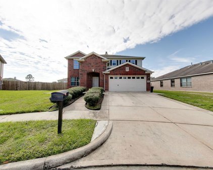 3803 Tammony Park Lane, Friendswood