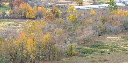 7900 Sandy Branch Road, Mulberry