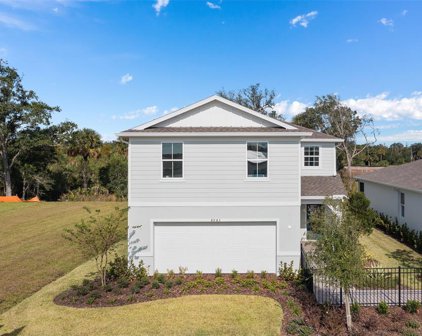 825 Rivers Crossing Street, Clermont