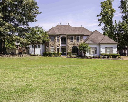 10208 Gillespie Oak Dr, Lakeland