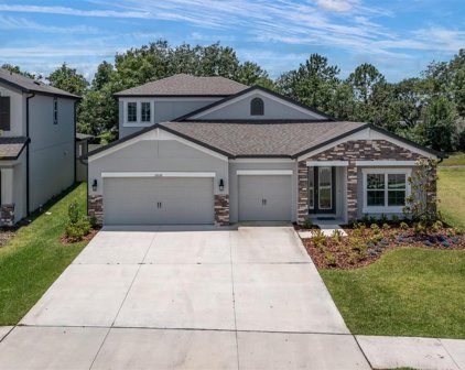 31052 Palm Song Place, Wesley Chapel