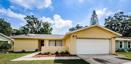 34 Harbor Oaks Circle, Safety Harbor