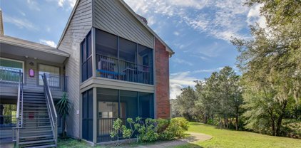 9100 Dr Martin Luther King Street N Unit 1423, St Petersburg