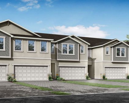 4362 Cloud Hopper Way, Lutz