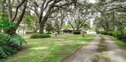 1508 Touchton Road, Lutz