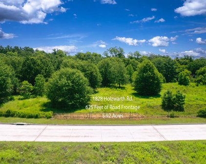 1828 Holzwarth Road, Spring
