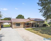 70 Colvin Drive, Albertville image