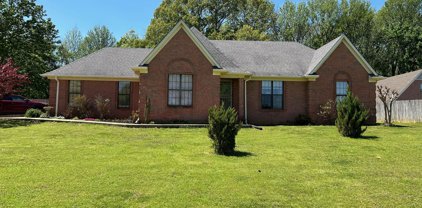 4395 Summers Place Drive, Olive Branch