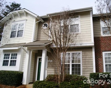 8211 Chaceview  Court, Charlotte