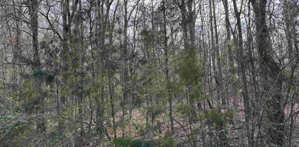 20085 COUNTY ROAD 2138(WHITEHOUSE ISD), Troup
