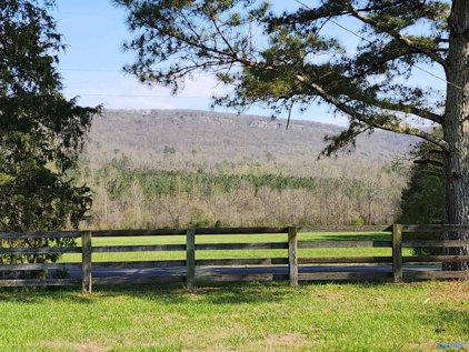 1565 County Road 239, Valley Head