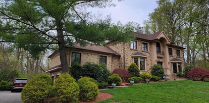 668 Old Mill Road, Franklin Lakes