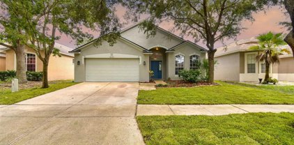 8207 Moccasin Trail Drive, Riverview