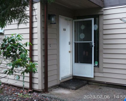 9132 Capella Drive Unit 103, Burnaby