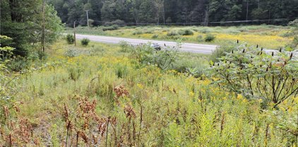 Land Vacant Nys Route 219 N, Ellicottville-043689
