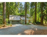 3111 NW 199TH ST, Ridgefield image