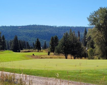 725 Golf View Dr, Seeley Lake