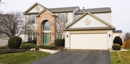 238 Tiger Street, Bolingbrook