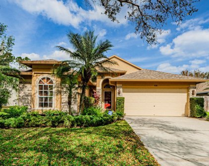 426 Cypress View Drive, Oldsmar